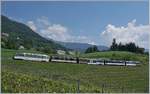 Statt des erwarteten  neuen  MOB Panoramic Express kam dieser sonderbaren Zug: Die GDe 4/4 6004 mitten im Zug mit den zwei unterschiedlichen Steuerwagen und zwei weiteren Panoramawagen ist als RE 2228